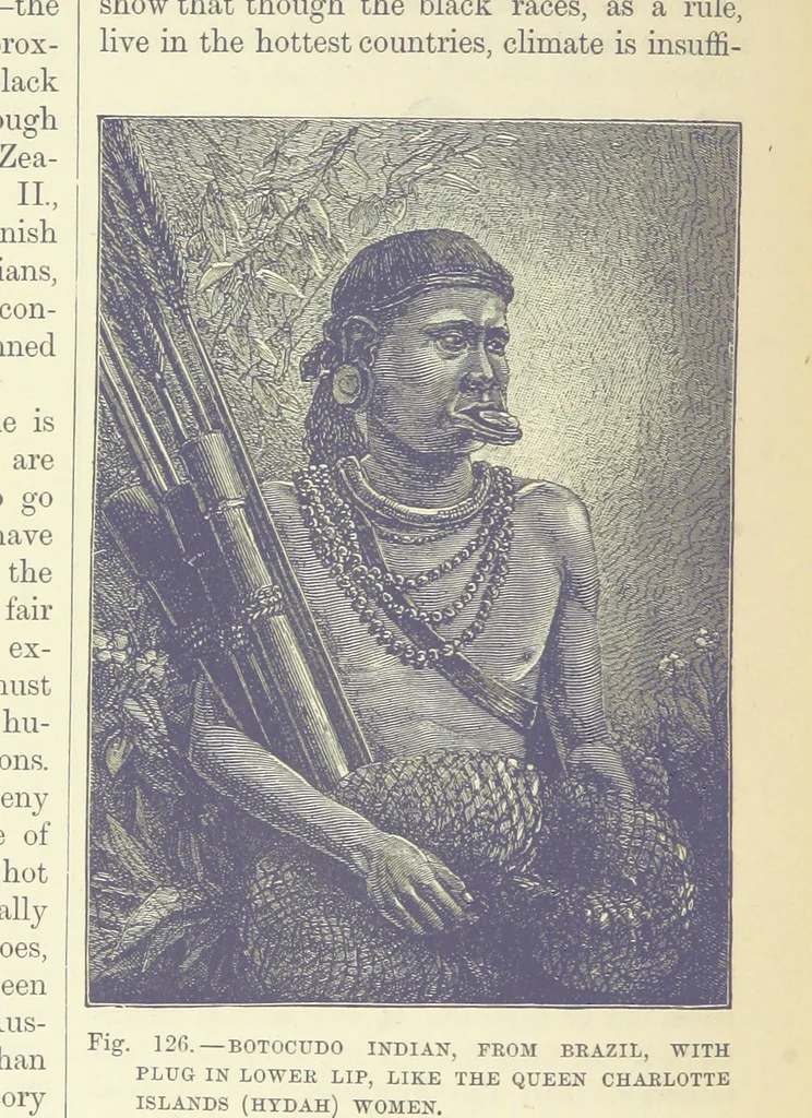 An illustration from Our Earth and its Story: a popular treatise on physical geography. Edited by R. Brown. With ... coloured plates and maps, etc, 1887, leaf 166