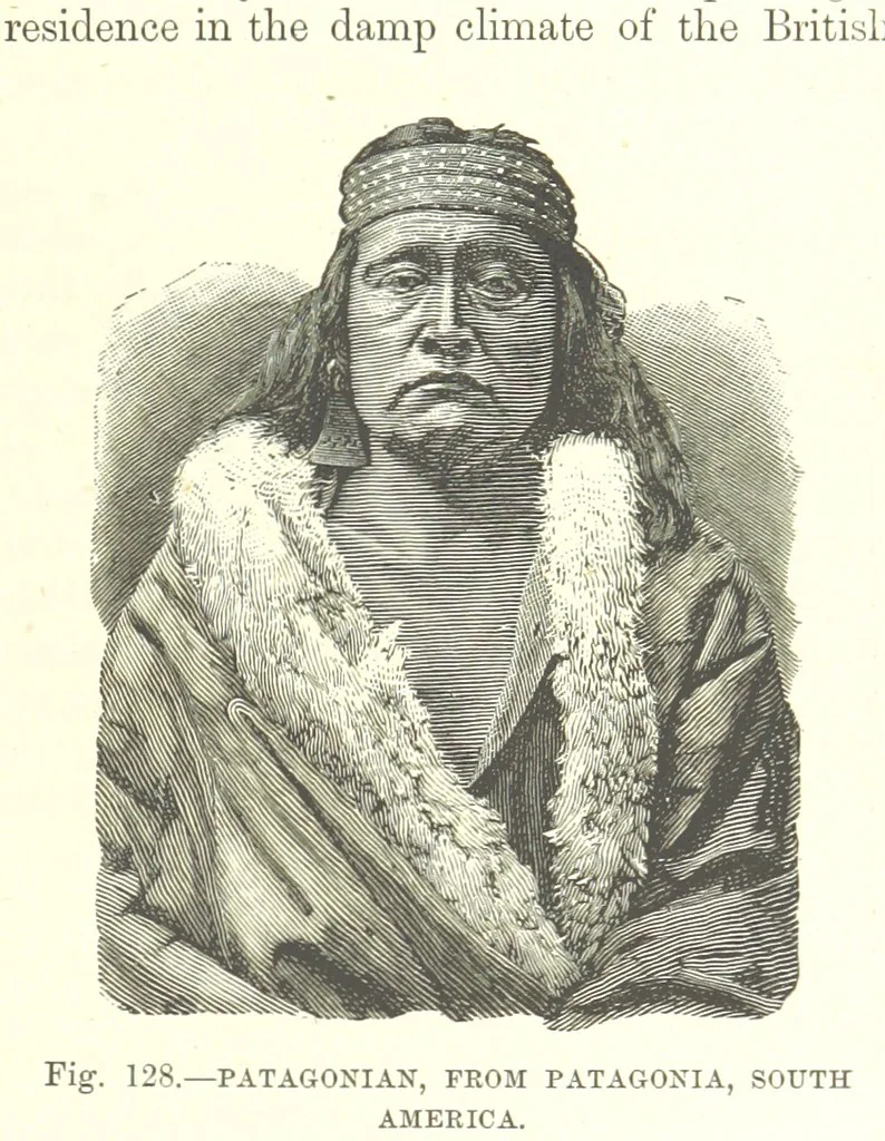 An illustration from Our Earth and its Story: a popular treatise on physical geography. Edited by R. Brown. With ... coloured plates and maps, etc, 1887, leaf 167