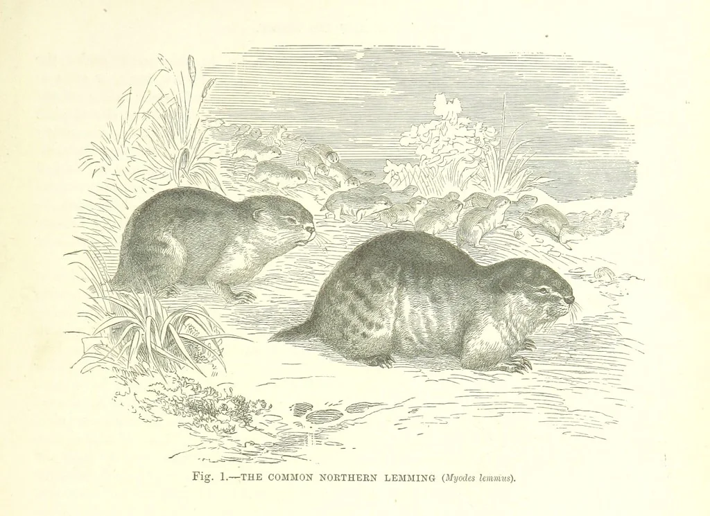 An illustration from Our Earth and its Story: a popular treatise on physical geography. Edited by R. Brown. With ... coloured plates and maps, etc, 1887, leaf 17