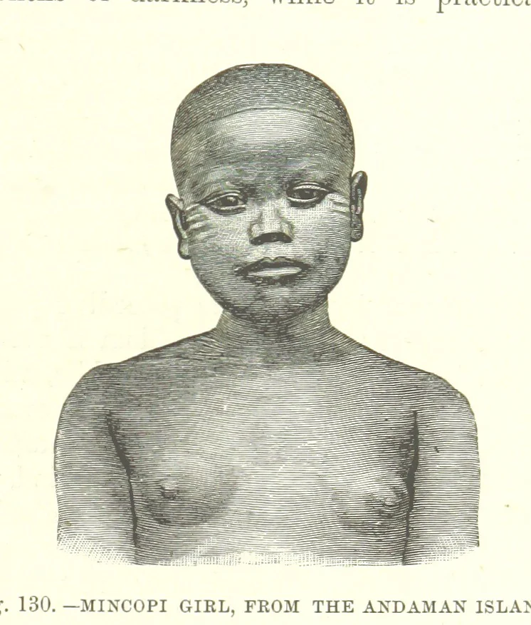 An illustration from Our Earth and its Story: a popular treatise on physical geography. Edited by R. Brown. With ... coloured plates and maps, etc, 1887, leaf 171