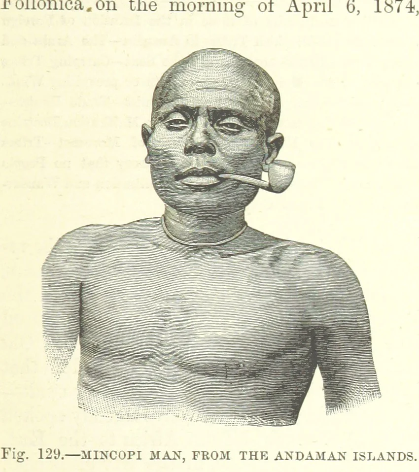 An illustration from Our Earth and its Story: a popular treatise on physical geography. Edited by R. Brown. With ... coloured plates and maps, etc, 1887, leaf 171