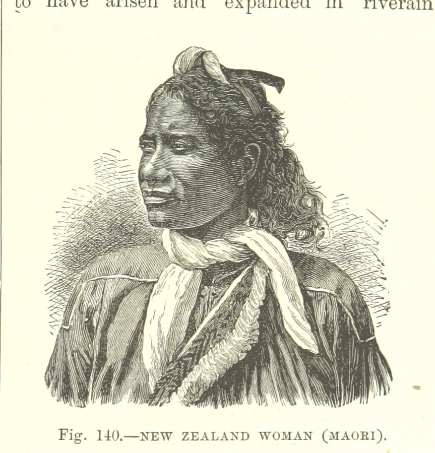 An illustration from Our Earth and its Story: a popular treatise on physical geography. Edited by R. Brown. With ... coloured plates and maps, etc, 1887, leaf 179
