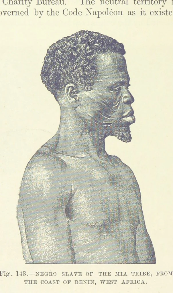 An illustration from Our Earth and its Story: a popular treatise on physical geography. Edited by R. Brown. With ... coloured plates and maps, etc, 1887, leaf 184
