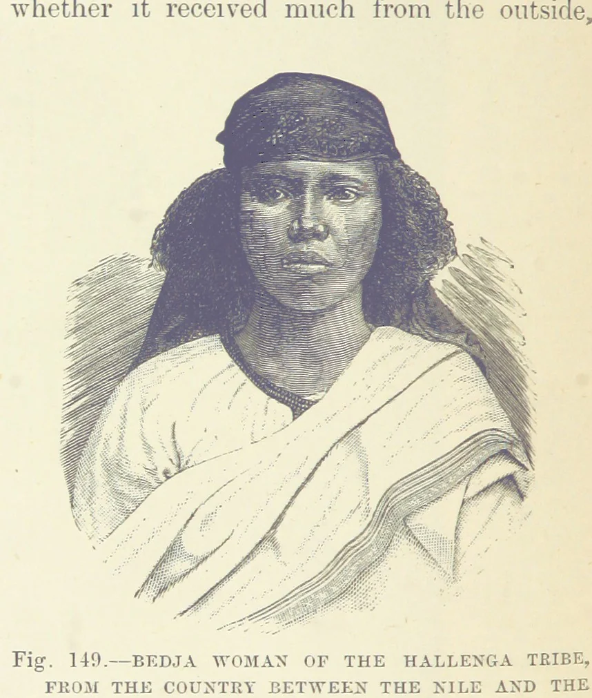 An illustration from Our Earth and its Story: a popular treatise on physical geography. Edited by R. Brown. With ... coloured plates and maps, etc, 1887, leaf 190