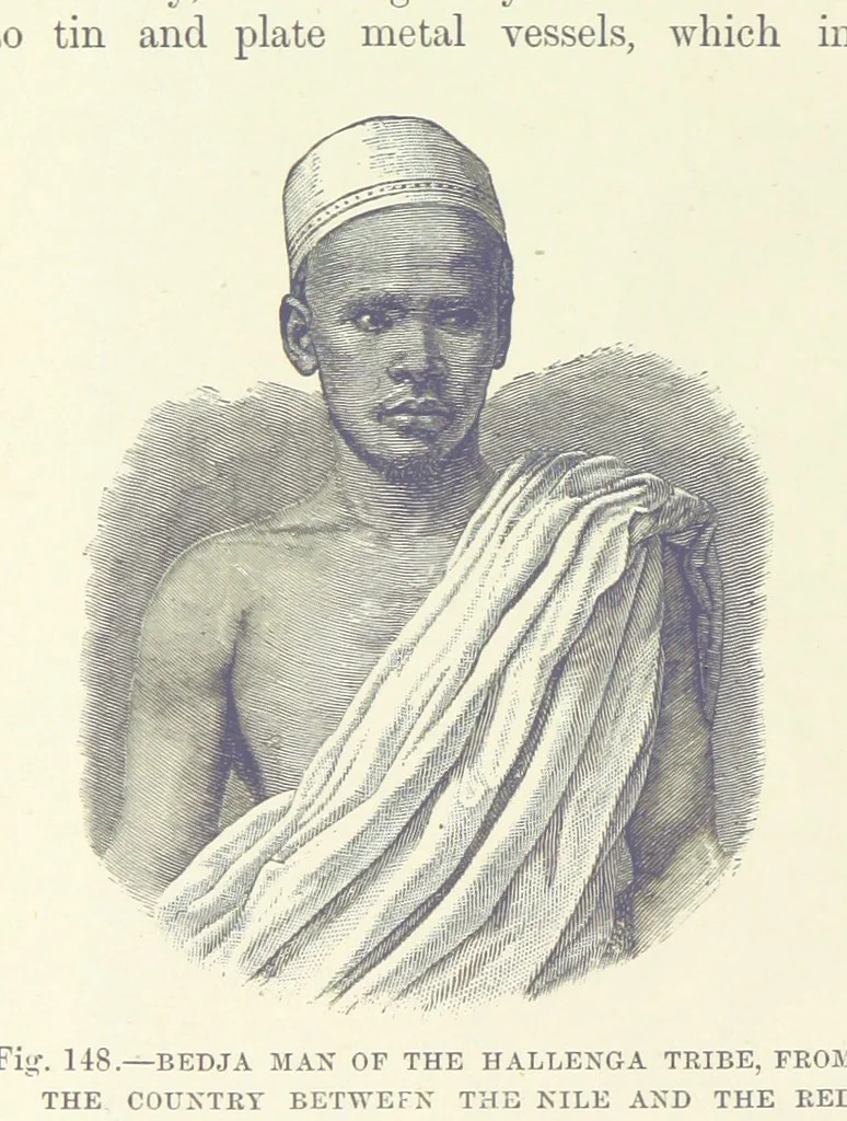 An illustration from Our Earth and its Story: a popular treatise on physical geography. Edited by R. Brown. With ... coloured plates and maps, etc, 1887, leaf 190