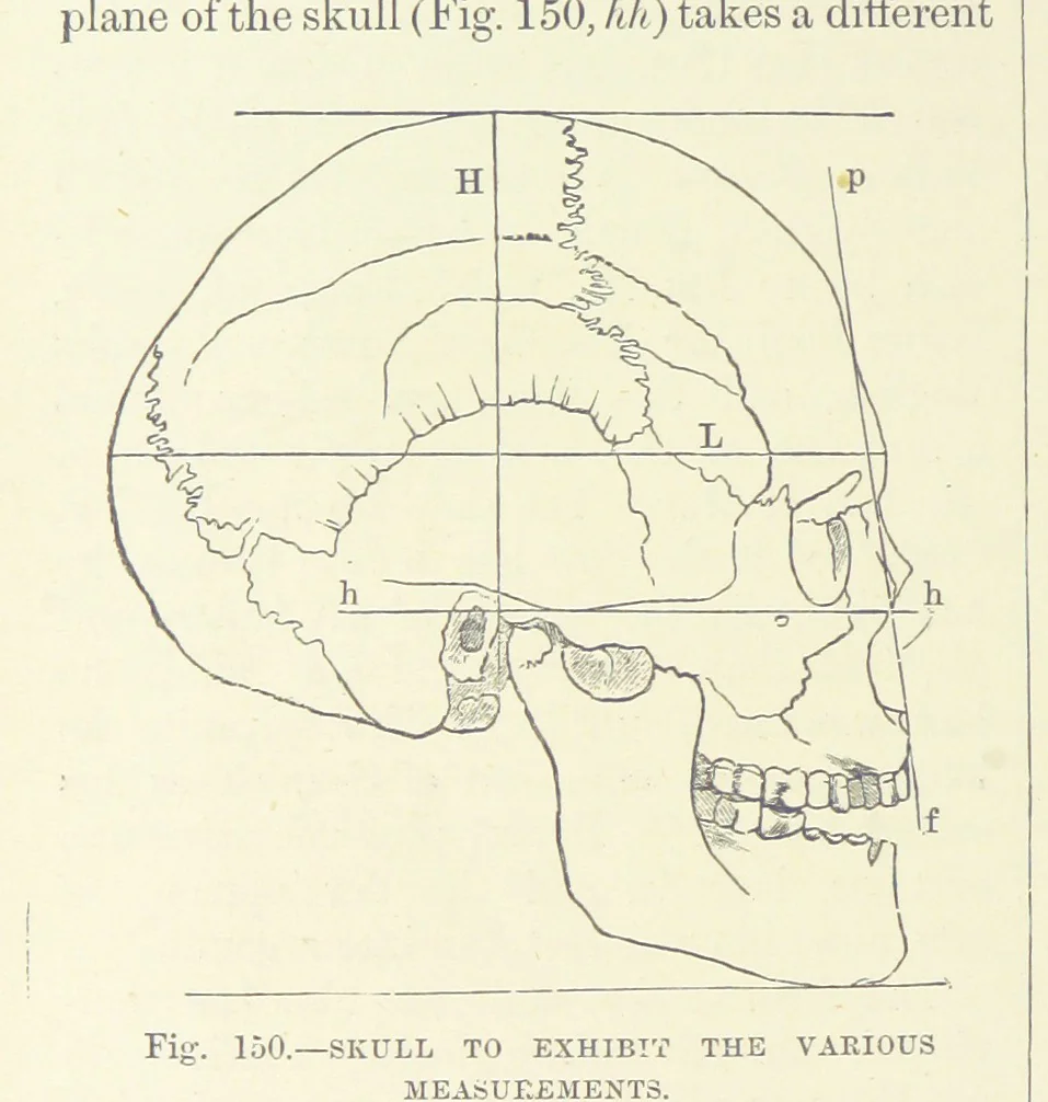 An illustration from Our Earth and its Story: a popular treatise on physical geography. Edited by R. Brown. With ... coloured plates and maps, etc, 1887, leaf 194