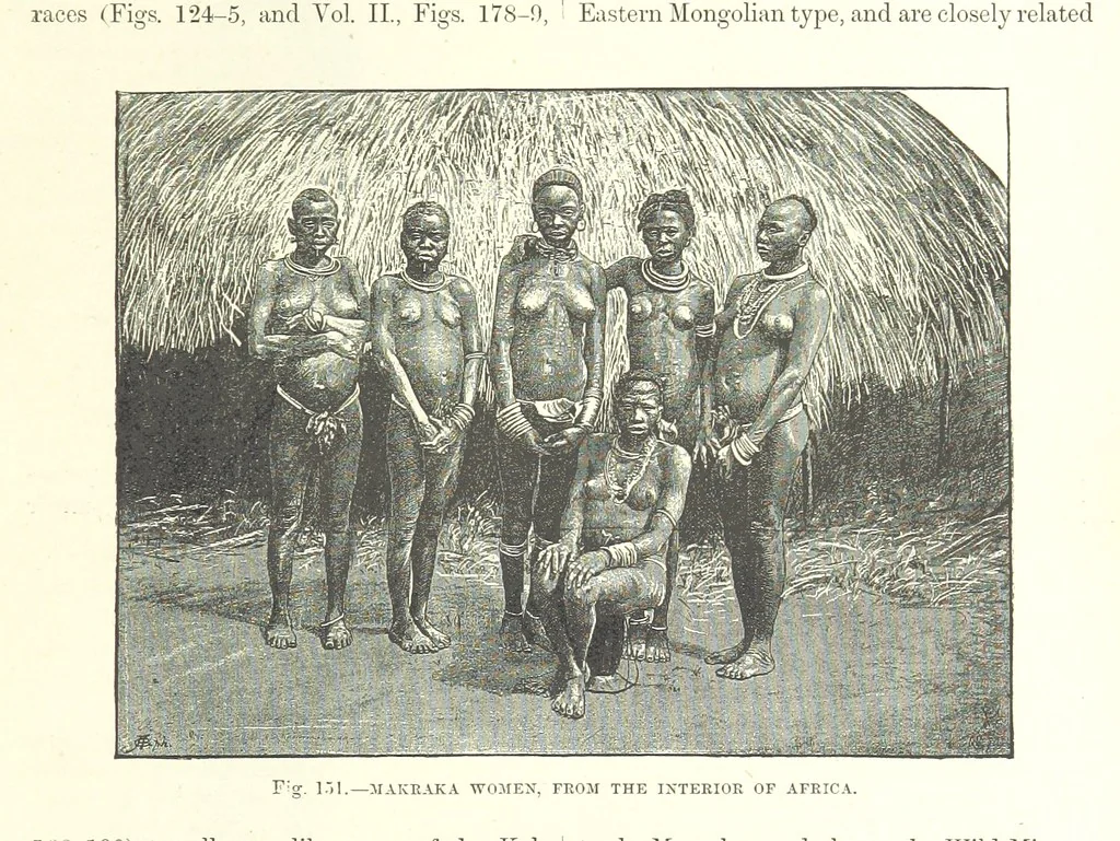 An illustration from Our Earth and its Story: a popular treatise on physical geography. Edited by R. Brown. With ... coloured plates and maps, etc, 1887, leaf 195