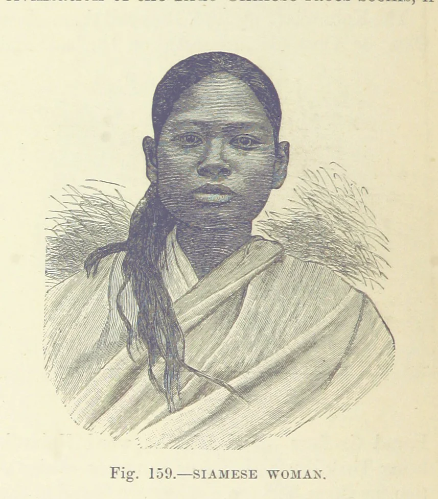 An illustration from Our Earth and its Story: a popular treatise on physical geography. Edited by R. Brown. With ... coloured plates and maps, etc, 1887, leaf 198