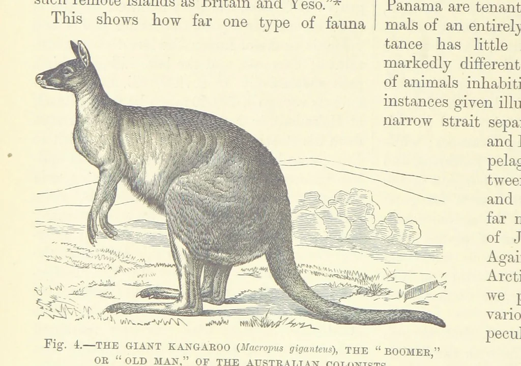An illustration from Our Earth and its Story: a popular treatise on physical geography. Edited by R. Brown. With ... coloured plates and maps, etc, 1887, leaf 20