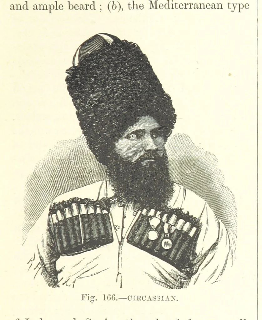 An illustration from Our Earth and its Story: a popular treatise on physical geography. Edited by R. Brown. With ... coloured plates and maps, etc, 1887, leaf 203