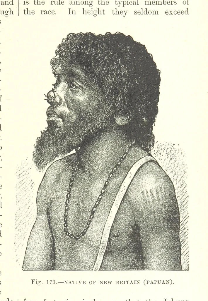 An illustration from Our Earth and its Story: a popular treatise on physical geography. Edited by R. Brown. With ... coloured plates and maps, etc, 1887, leaf 211