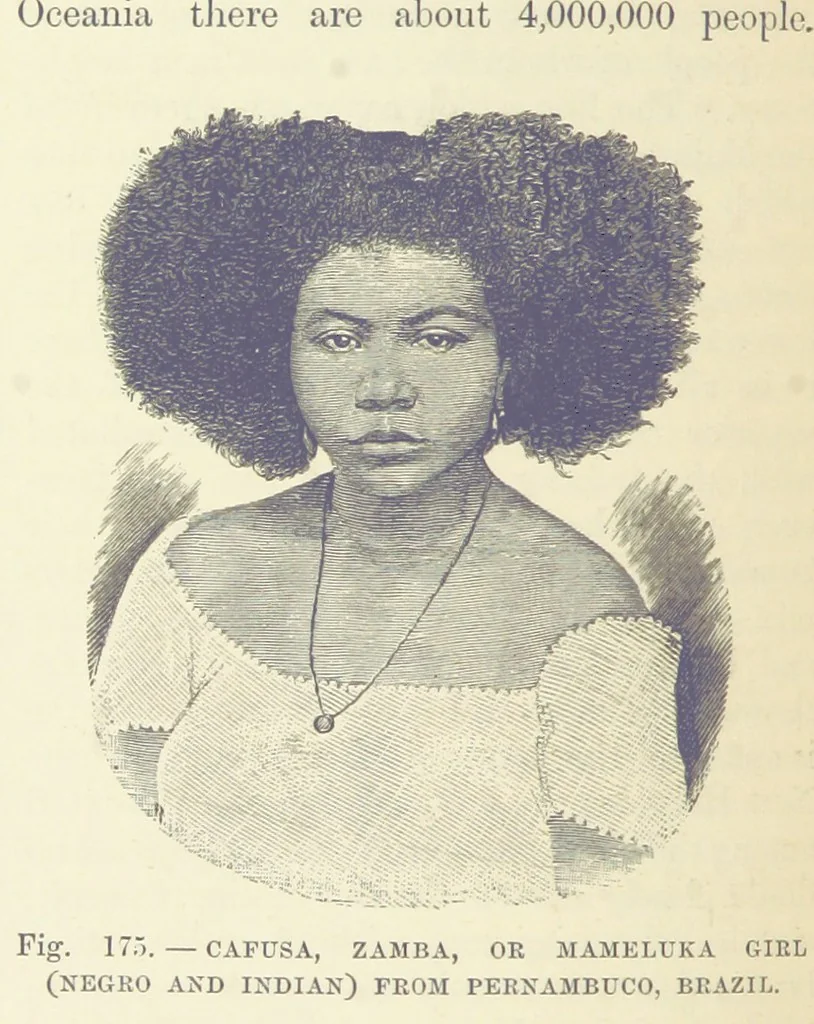 An illustration from Our Earth and its Story: a popular treatise on physical geography. Edited by R. Brown. With ... coloured plates and maps, etc, 1887, leaf 214