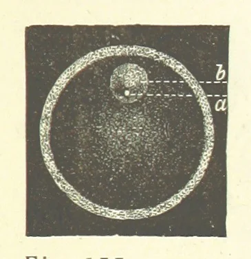 An illustration from Our Earth and its Story: a popular treatise on physical geography. Edited by R. Brown. With ... coloured plates and maps, etc, 1887, leaf 217