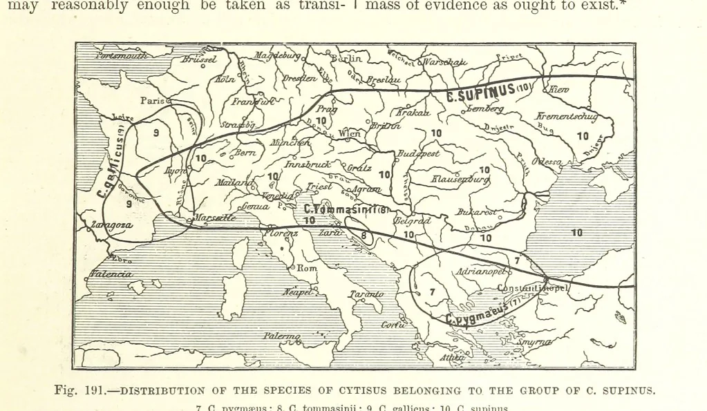 An illustration from Our Earth and its Story: a popular treatise on physical geography. Edited by R. Brown. With ... coloured plates and maps, etc, 1887, leaf 229