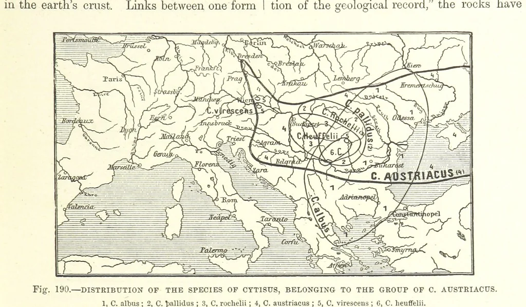 An illustration from Our Earth and its Story: a popular treatise on physical geography. Edited by R. Brown. With ... coloured plates and maps, etc, 1887, leaf 229