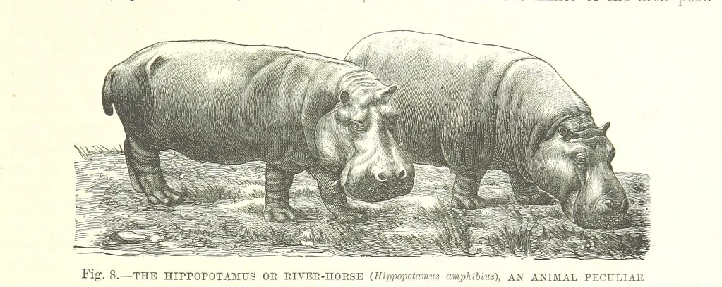 An illustration from Our Earth and its Story: a popular treatise on physical geography. Edited by R. Brown. With ... coloured plates and maps, etc, 1887, leaf 23