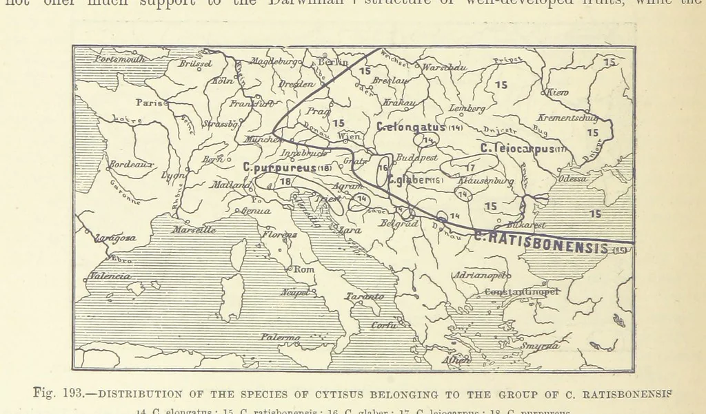 An illustration from Our Earth and its Story: a popular treatise on physical geography. Edited by R. Brown. With ... coloured plates and maps, etc, 1887, leaf 230