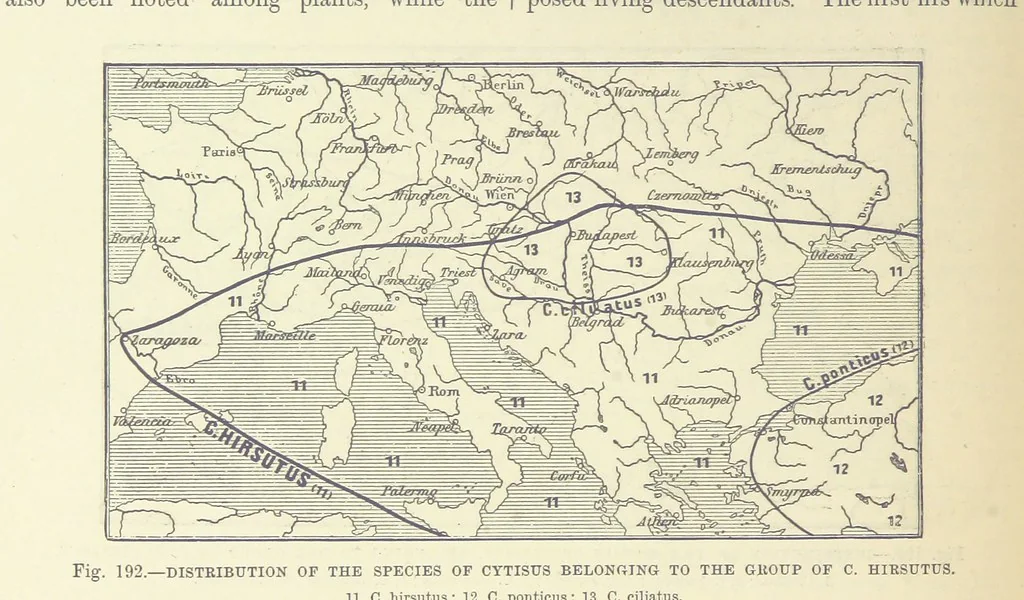 An illustration from Our Earth and its Story: a popular treatise on physical geography. Edited by R. Brown. With ... coloured plates and maps, etc, 1887, leaf 230
