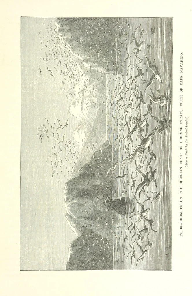 An illustration from Our Earth and its Story: a popular treatise on physical geography. Edited by R. Brown. With ... coloured plates and maps, etc, 1887, leaf 25