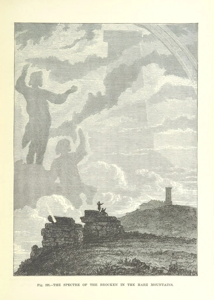 An illustration from Our Earth and its Story: a popular treatise on physical geography. Edited by R. Brown. With ... coloured plates and maps, etc, 1887, leaf 315