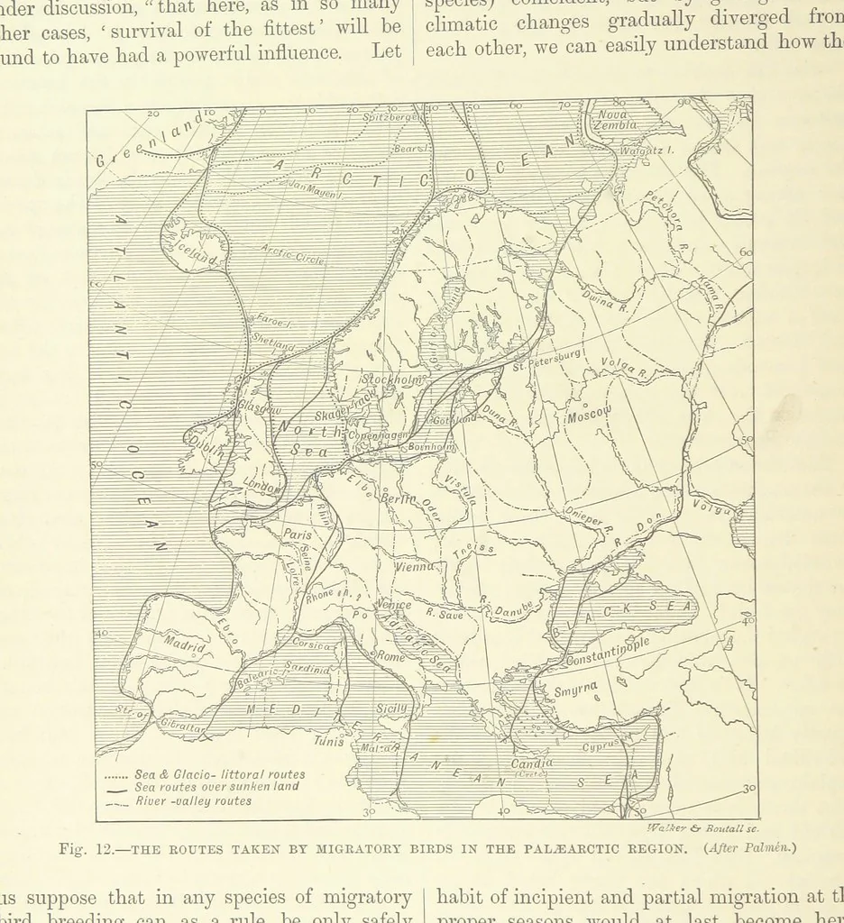 An illustration from Our Earth and its Story: a popular treatise on physical geography. Edited by R. Brown. With ... coloured plates and maps, etc, 1887, leaf 32