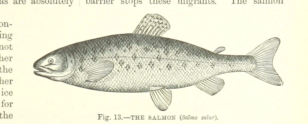 An illustration from Our Earth and its Story: a popular treatise on physical geography. Edited by R. Brown. With ... coloured plates and maps, etc, 1887, leaf 33