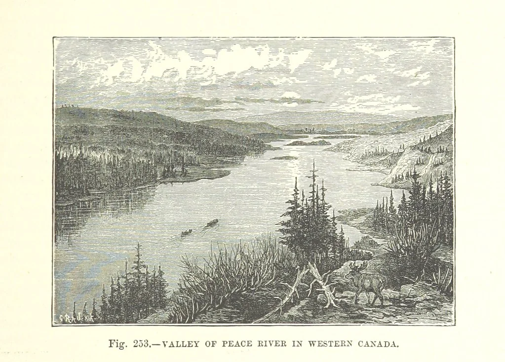 An illustration from Our Earth and its Story: a popular treatise on physical geography. Edited by R. Brown. With ... coloured plates and maps, etc, 1887, leaf 347