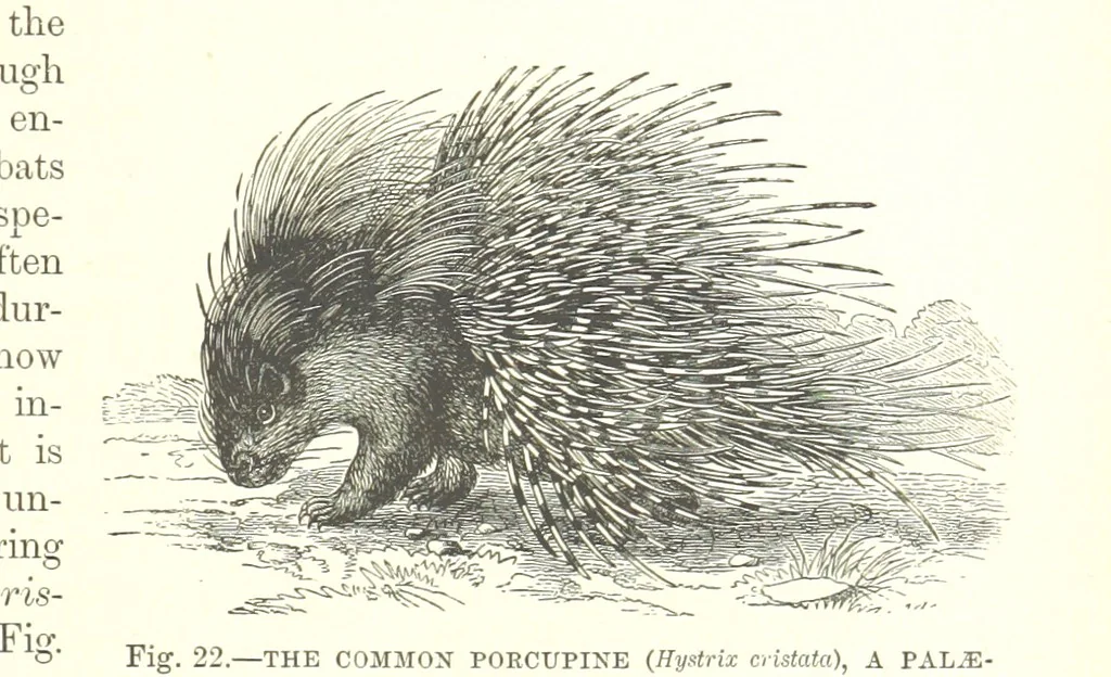An illustration from Our Earth and its Story: a popular treatise on physical geography. Edited by R. Brown. With ... coloured plates and maps, etc, 1887, leaf 47
