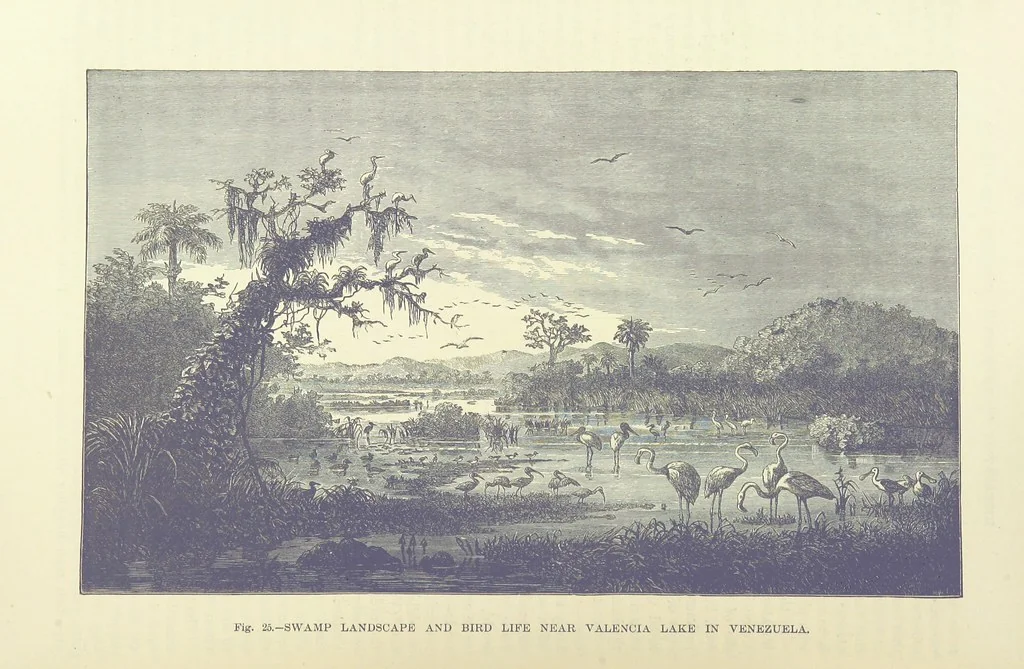 An illustration from Our Earth and its Story: a popular treatise on physical geography. Edited by R. Brown. With ... coloured plates and maps, etc, 1887, leaf 54