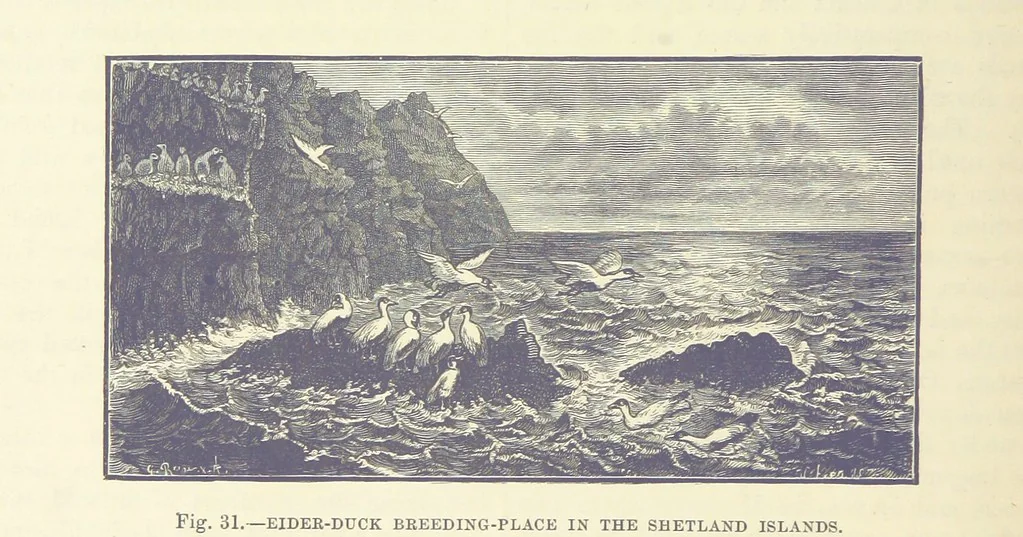 An illustration from Our Earth and its Story: a popular treatise on physical geography. Edited by R. Brown. With ... coloured plates and maps, etc, 1887, leaf 66