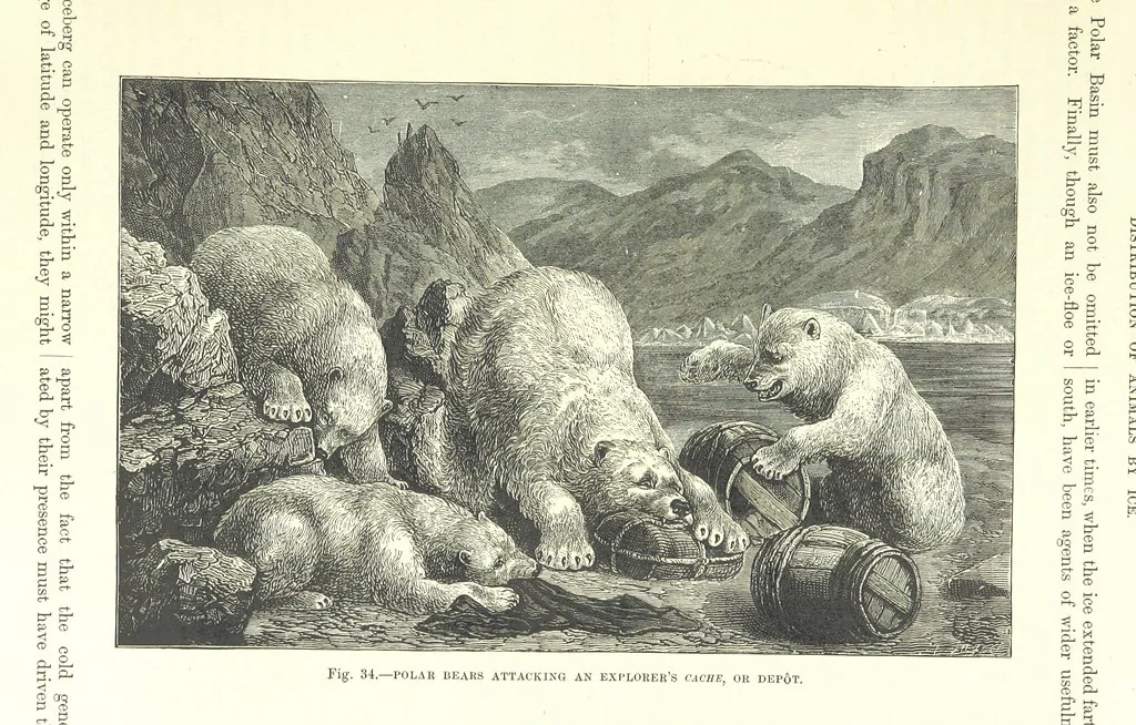 An illustration from Our Earth and its Story: a popular treatise on physical geography. Edited by R. Brown. With ... coloured plates and maps, etc, 1887, leaf 71