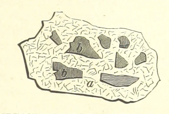 An illustration from Our Earth and its Story: a popular treatise on physical geography. Edited by R. Brown. With ... coloured plates and maps, etc, 1893, leaf 117