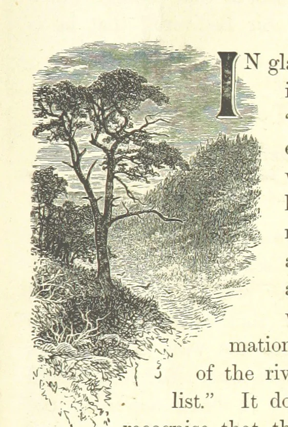 An illustration from Our Earth and its Story: a popular treatise on physical geography. Edited by R. Brown. With ... coloured plates and maps, etc, 1893, leaf 17