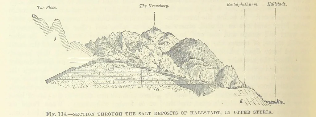 An illustration from Our Earth and its Story: a popular treatise on physical geography. Edited by R. Brown. With ... coloured plates and maps, etc, 1893, leaf 308