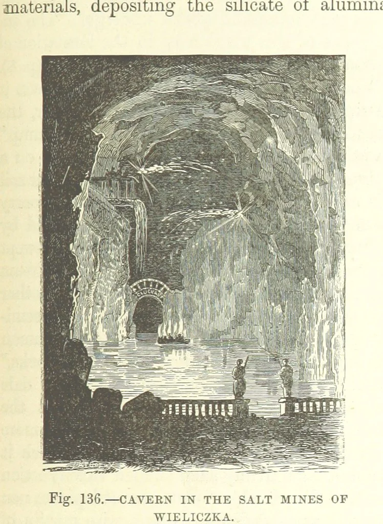 An illustration from Our Earth and its Story: a popular treatise on physical geography. Edited by R. Brown. With ... coloured plates and maps, etc, 1893, leaf 309