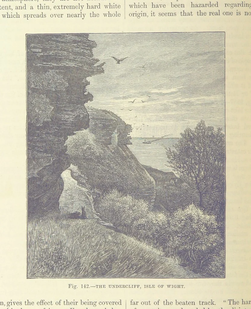 An illustration from Our Earth and its Story: a popular treatise on physical geography. Edited by R. Brown. With ... coloured plates and maps, etc, 1893, leaf 316