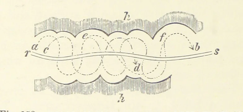An illustration from Our Earth and its Story: a popular treatise on physical geography. Edited by R. Brown. With ... coloured plates and maps, etc, 1893, leaf 332