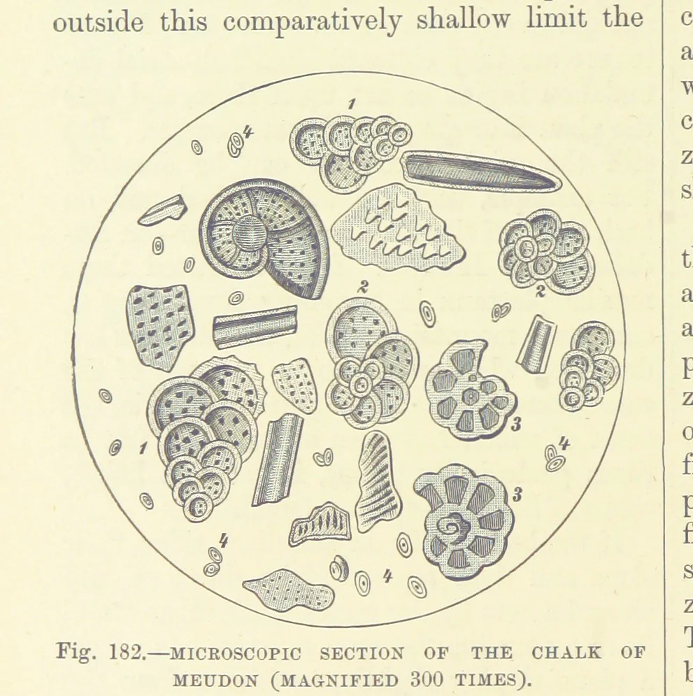 An illustration from Our Earth and its Story: a popular treatise on physical geography. Edited by R. Brown. With ... coloured plates and maps, etc, 1893, leaf 388