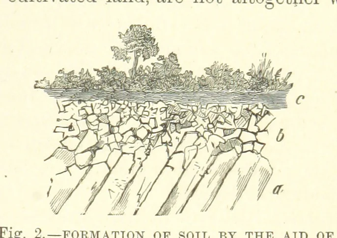 An illustration from Our Earth and its Story: a popular treatise on physical geography. Edited by R. Brown. With ... coloured plates and maps, etc, 1893, leaf 427