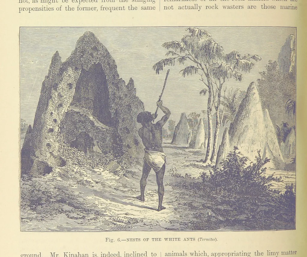 An illustration from Our Earth and its Story: a popular treatise on physical geography. Edited by R. Brown. With ... coloured plates and maps, etc, 1893, leaf 434