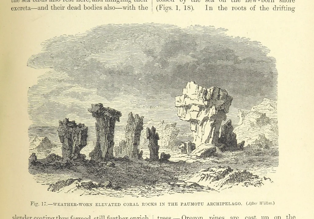 An illustration from Our Earth and its Story: a popular treatise on physical geography. Edited by R. Brown. With ... coloured plates and maps, etc, 1893, leaf 445