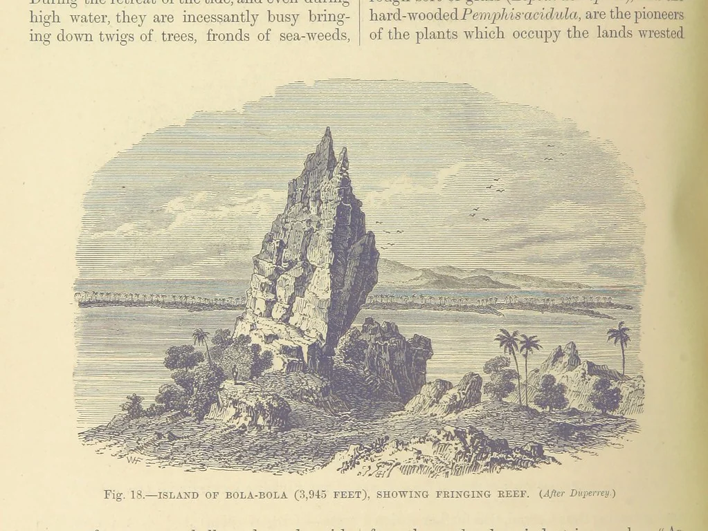 An illustration from Our Earth and its Story: a popular treatise on physical geography. Edited by R. Brown. With ... coloured plates and maps, etc, 1893, leaf 446