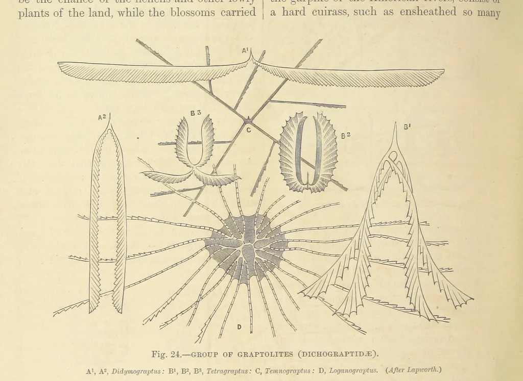 An illustration from Our Earth and its Story: a popular treatise on physical geography. Edited by R. Brown. With ... coloured plates and maps, etc, 1893, leaf 454