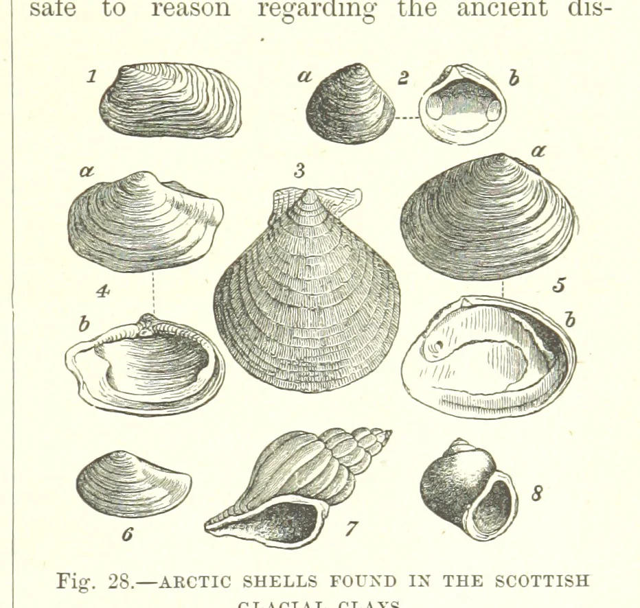 An illustration from Our Earth and its Story: a popular treatise on physical geography. Edited by R. Brown. With ... coloured plates and maps, etc, 1893, leaf 461