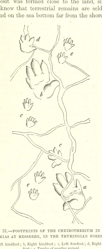 An illustration from Our Earth and its Story: a popular treatise on physical geography. Edited by R. Brown. With ... coloured plates and maps, etc, 1893, leaf 465