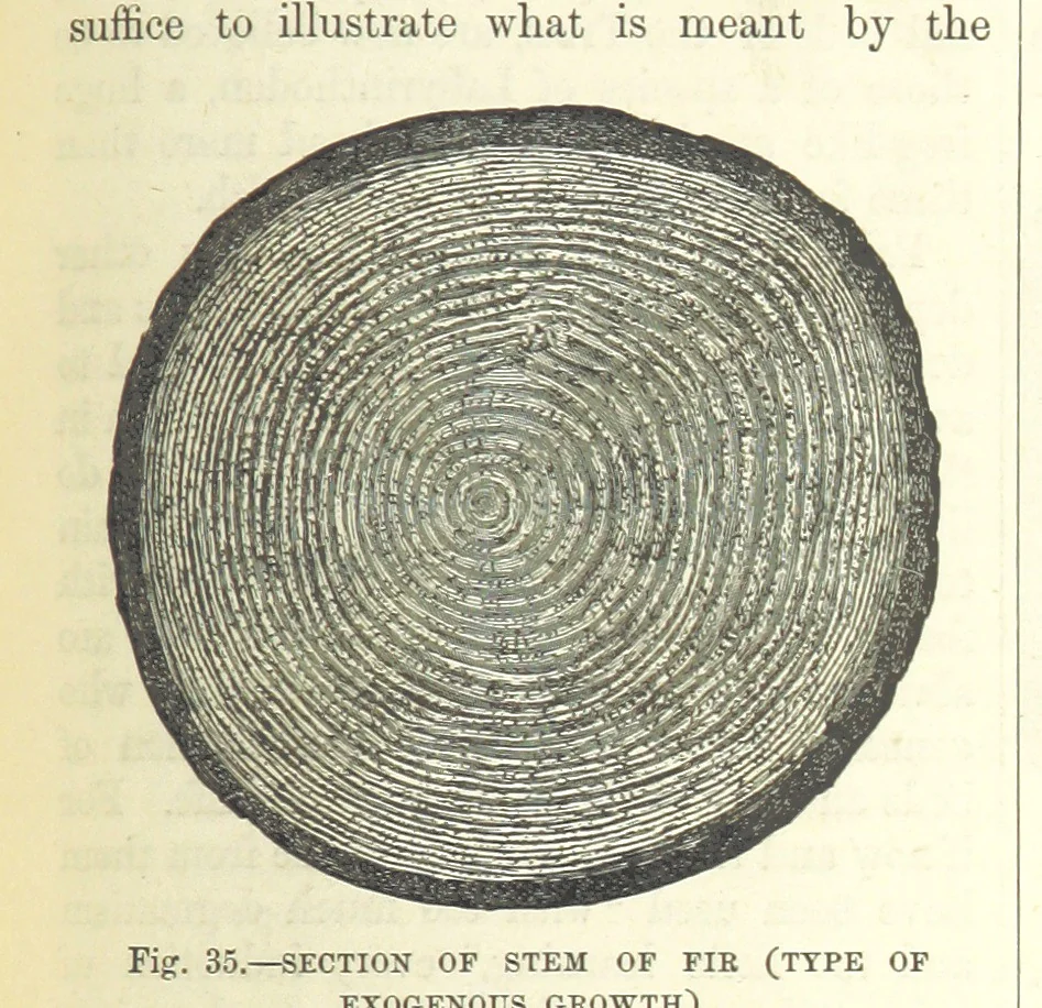An illustration from Our Earth and its Story: a popular treatise on physical geography. Edited by R. Brown. With ... coloured plates and maps, etc, 1893, leaf 473