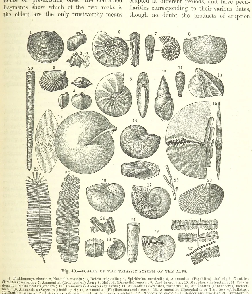 An illustration from Our Earth and its Story: a popular treatise on physical geography. Edited by R. Brown. With ... coloured plates and maps, etc, 1893, leaf 477