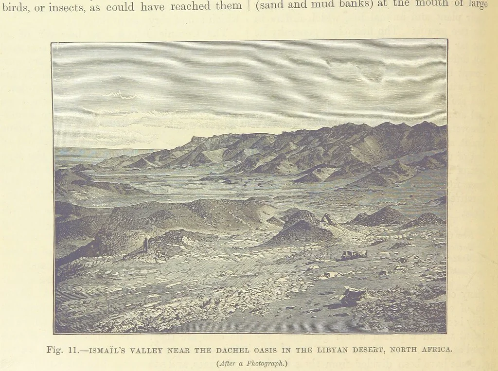 An illustration from Our Earth and its Story: a popular treatise on physical geography. Edited by R. Brown. With ... coloured plates and maps, etc, 1893, leaf 48