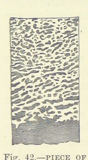 An illustration from Our Earth and its Story: a popular treatise on physical geography. Edited by R. Brown. With ... coloured plates and maps, etc, 1893, leaf 484