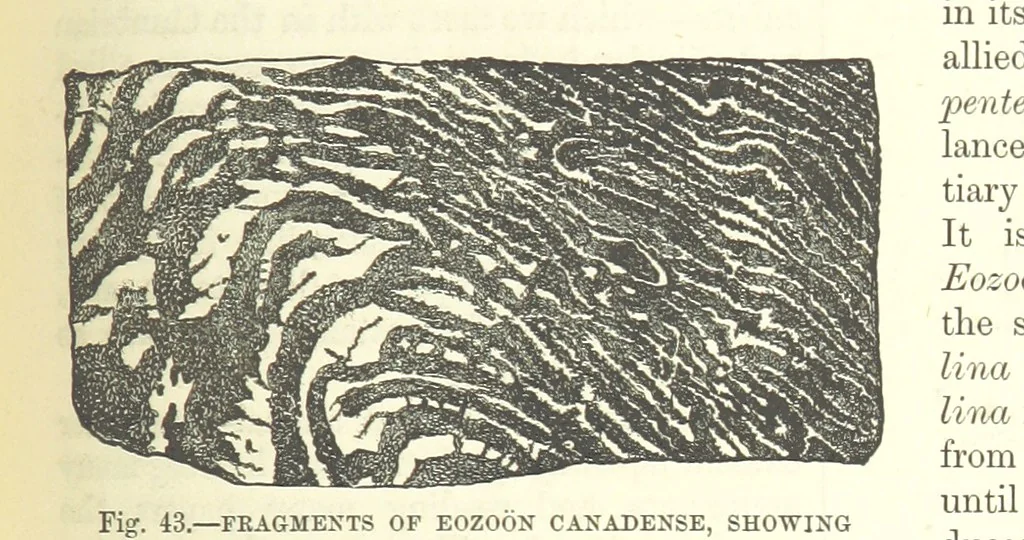 An illustration from Our Earth and its Story: a popular treatise on physical geography. Edited by R. Brown. With ... coloured plates and maps, etc, 1893, leaf 485
